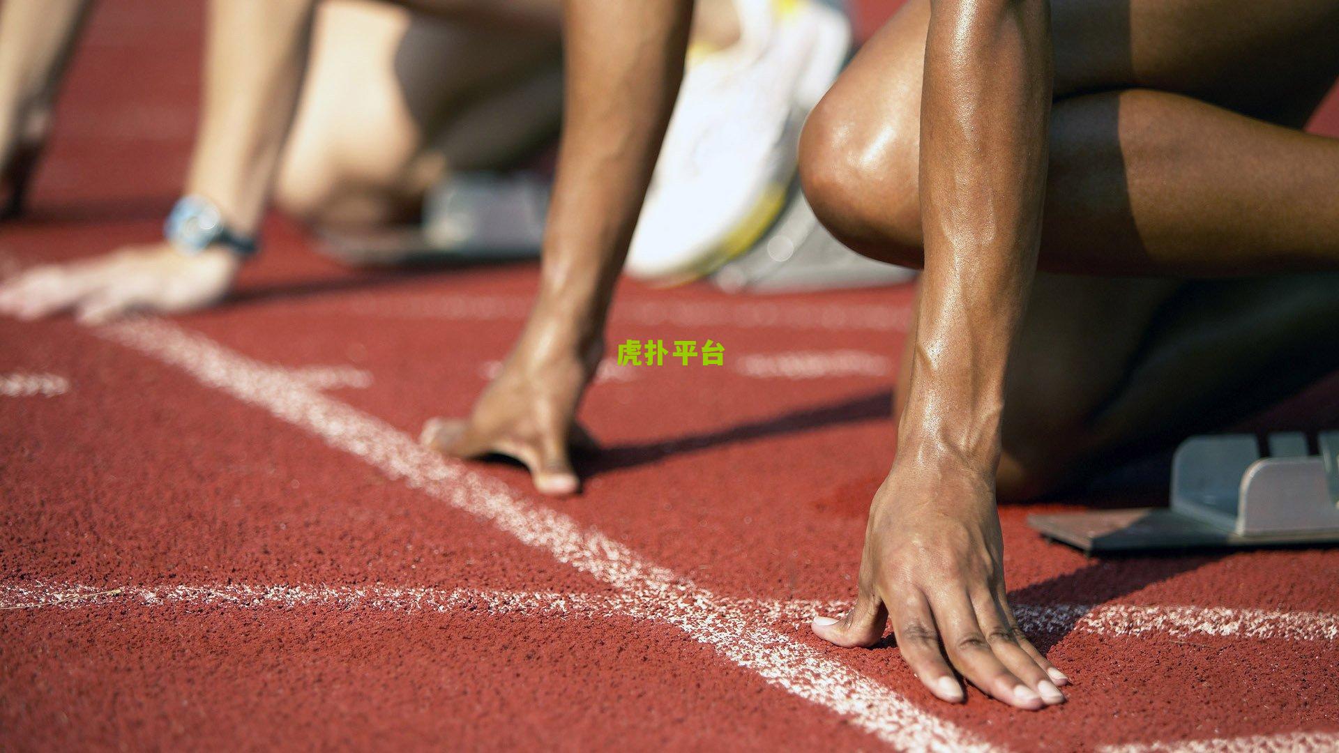 范加尔三度执掌荷兰队,70岁退休老帅为报国出山,橙色风暴再起风云